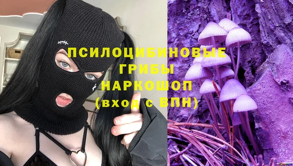 ешки Алзамай